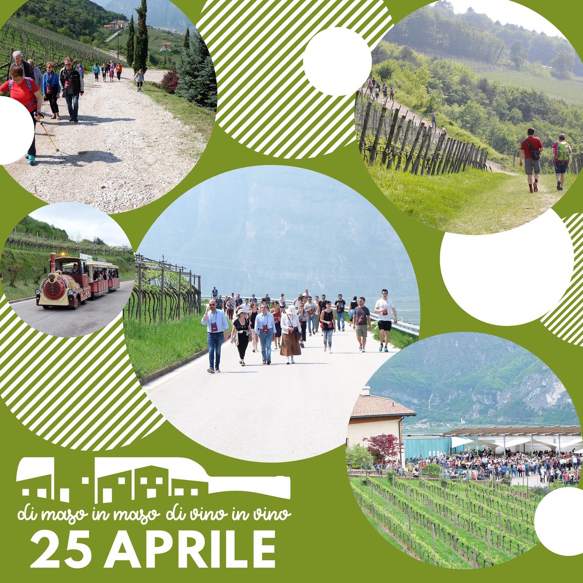 Oggi sarebbe stato il grande giorno 😢
Come ogni anno anche oggi avremmo festeggiato assieme a tutti voi lungo il bellissimo percorso enogastronomico sulle Colline Avisiane.
Quest'anno purtroppo è andata così...ma non ci arrendiamo e vi aspettiamo il 25/04/ 2021!

Buon 25 Aprile!