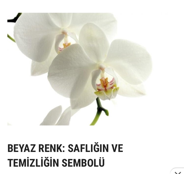 DrMelisa's tweet photo. Beyazıt ismini BEYAZ diye kısaltmamızın bir sebebi var.  #Beyazitozturk https://t.co/KHryPmKJ80
