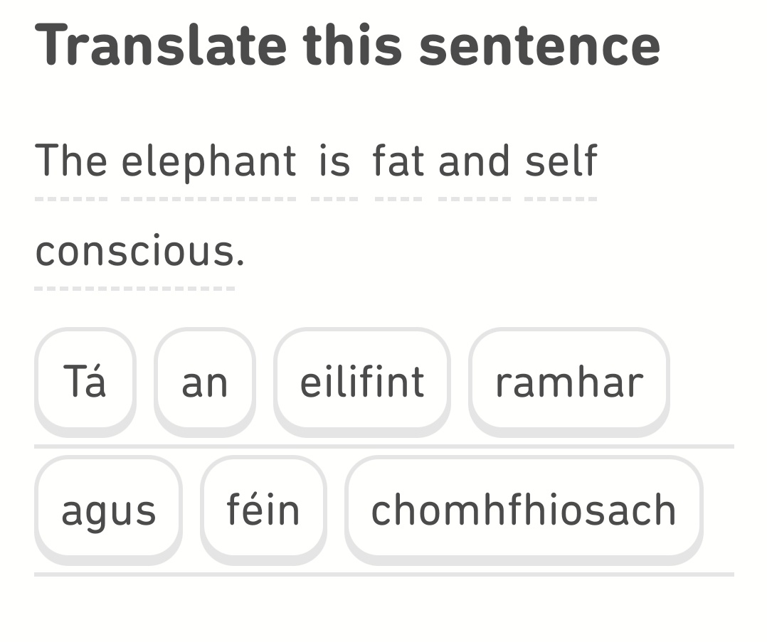 Damn those impossible body standards for elephants.  #Duolingo