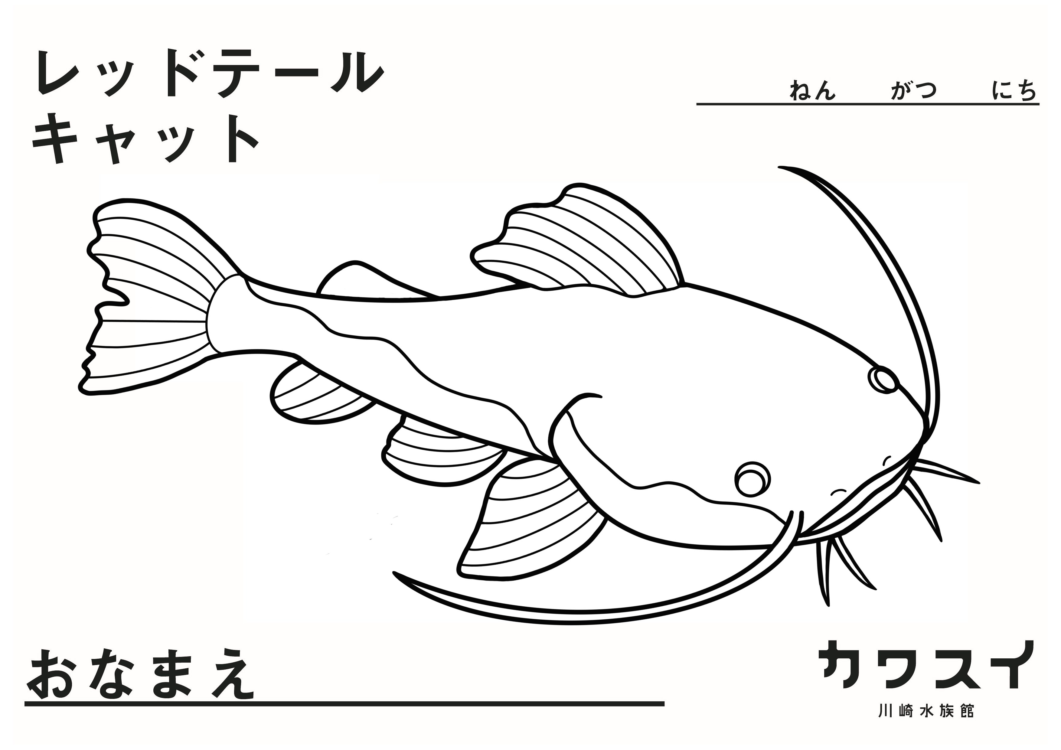 カワスイぬりえ Twitter