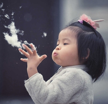 beijingkids's tweet photo. Just when you thought it was all over, the attack of the #catkins strikes again! Here's what you need to know to keep the sniffles away! https://t.co/iHXC7aGS0X  #health #beijingspring #beijingsummer https://t.co/AIkOx7zR89