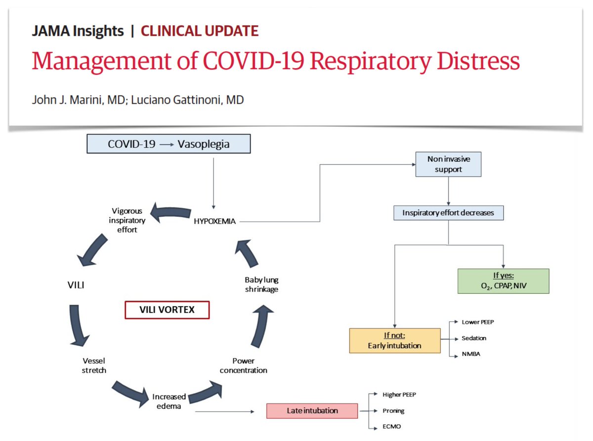 FOAMecmo's tweet photo. CARDS #COVID19 #ARDS: unique injury, diffuse micro/macrothromboses, severe endothelial damage disrupting vasoregulation; categorize as L vs H phenotype as different MV needed; cautious weaning for both &amp; be careful with vascular side #COVIDFOAM + podcast https://t.co/zMrOLIwlKy https://t.co/NwestXWDsL