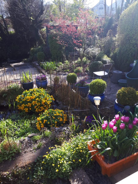 UL_SpecColl's tweet photo. Our workspaces look a little different these days... more flowers than boxes and books! Thankful the wifi extends to the garden, but wishing we had a canine archival assistant to keep us company... #YourWorkspace #Archive30 @ULLibrary https://t.co/DboF9hReZv