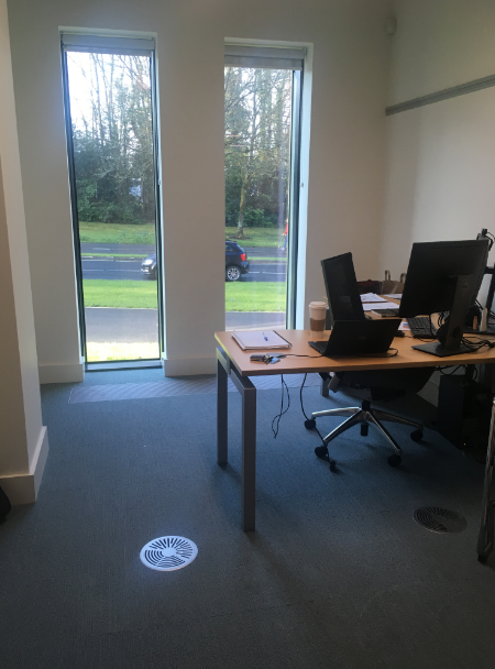 UL_SpecColl's tweet photo. Our workspaces look a little different these days... more flowers than boxes and books! Thankful the wifi extends to the garden, but wishing we had a canine archival assistant to keep us company... #YourWorkspace #Archive30 @ULLibrary https://t.co/DboF9hReZv