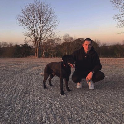 Harry Wren tweet media