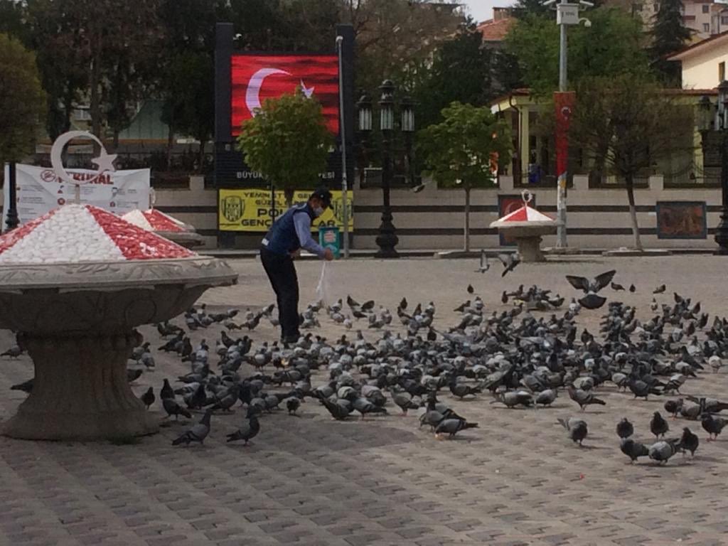 #sizevinizde
#bizemrinizde
Zabıta Müdürlüğü ekiplerimiz sokağa çıkma kısıtlaması dolayısıyla evlerinde bulunan hemşehrilerimizin ihtiyaçlarını karşılamaya ve sokak hayvanlarımızı beslemeye devam ediyor. Hepimiz için sahadayız.