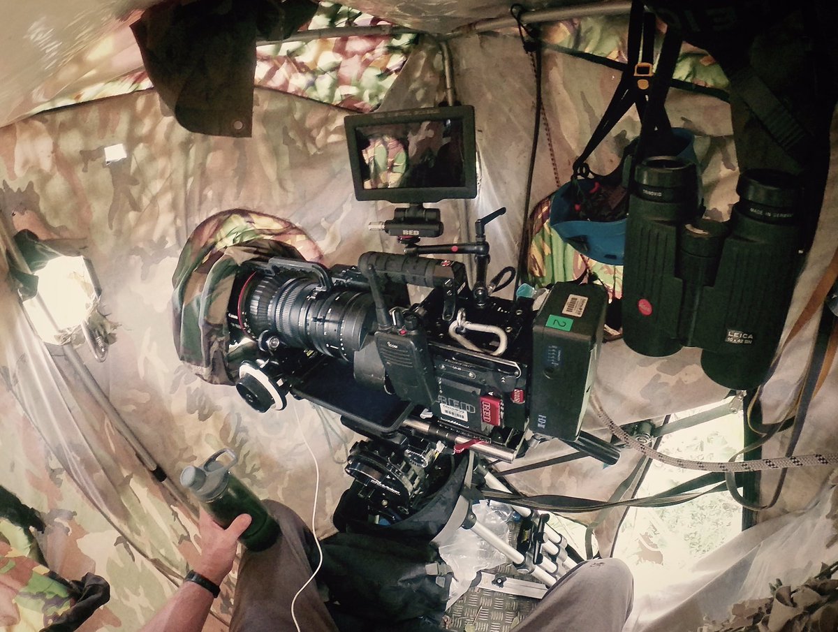 Tune in to #BBC1 tomorrow night 8.15pm for exciting new series #PRIMATES. It was a privelage to work on. Here is a blog I wrote about the challenges of filming #Uakari monkeys in the #canopy of the flooded #Amazon ... bbc.co.uk/programmes/art…
