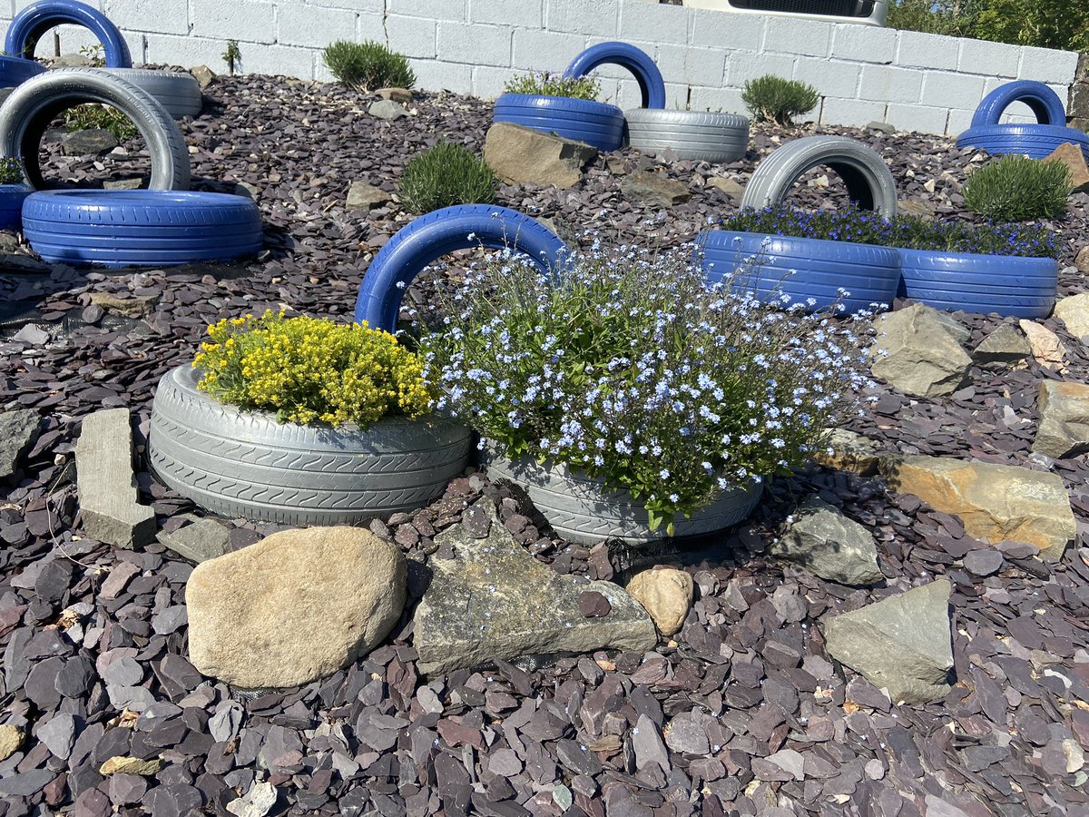 A little project we started on last year at Southgate Garage. Good to see some of the plants thriving. New plants added yesterday, hopefully we will have a more colourful display in the summer. 🌱 🚘