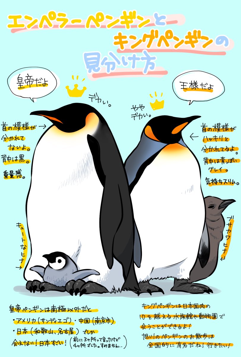今日は世界ペンギンの日! 