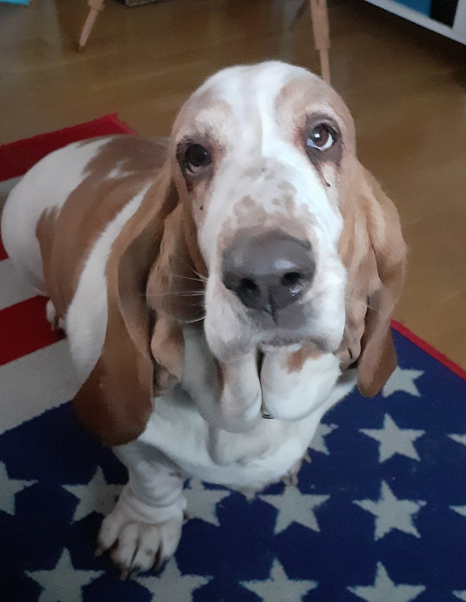 Hi my name is share-doggie Berit &amp; I need you to help my share-Moa so she can finish school &amp; come back home to me. More info is available on my share-moms bio. <a href="/piaroos1/">Pia Roos</a>