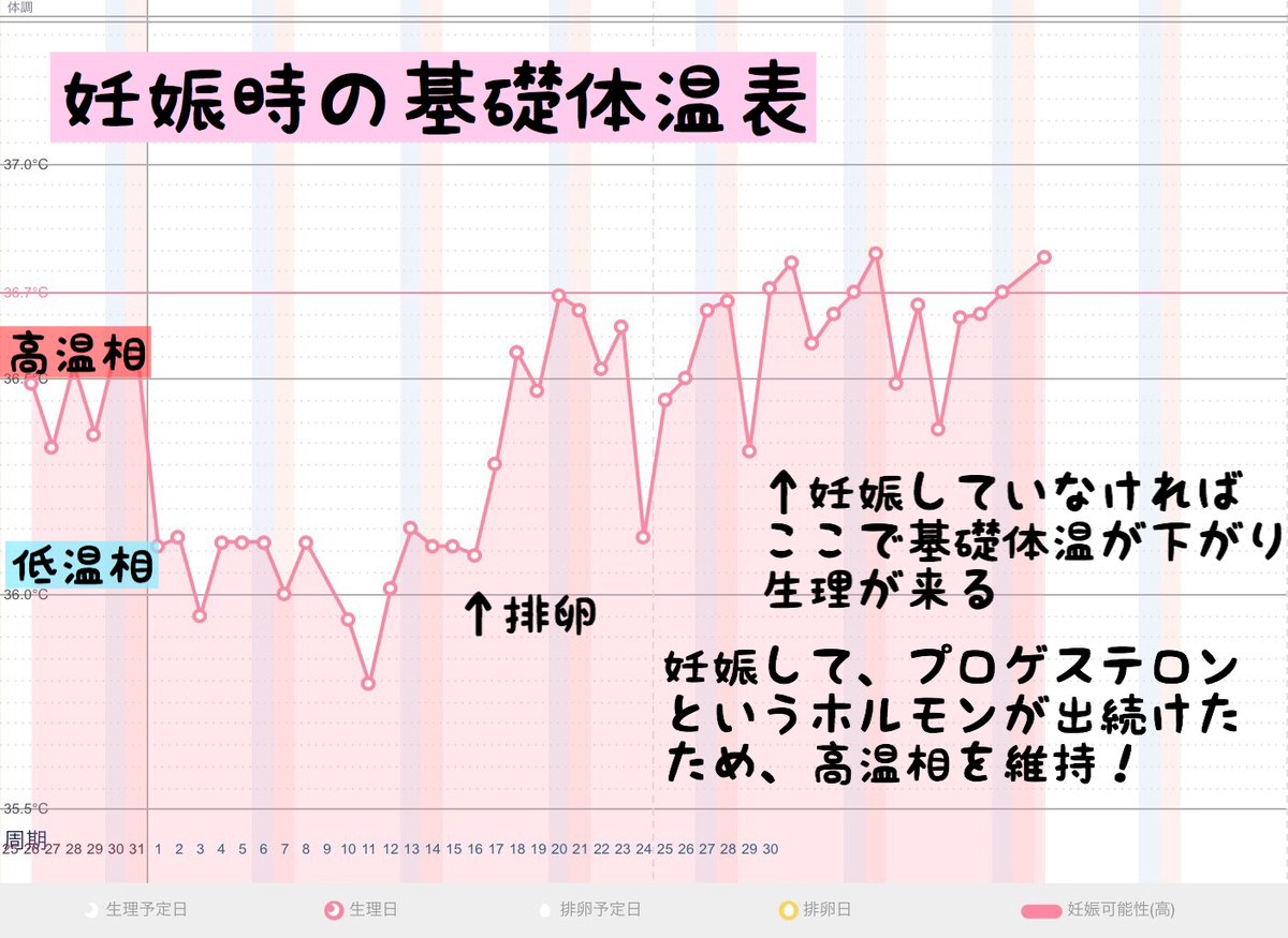 もちゆきナース على تويتر 私が妊娠した時の基礎体温表です 妊娠するとプロゲステロンの分泌継続 基礎体温は高温相が継続される 妊娠 4 5週で妊娠検査薬に陽性反応 これは国試の暗記ポイント 基礎体温表のこの1枚にも 国家試験に必要な知識が 詰まってるん