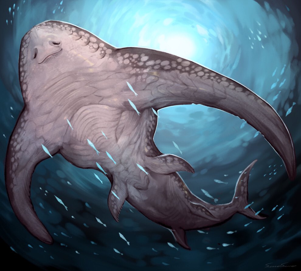 O Xrhsths スモサモ Sto Twitter 未確認生物のニンゲン描きたかったのに失敗してよくわからないサメになってしまいました T Co Hkax6nlvwk Twitter