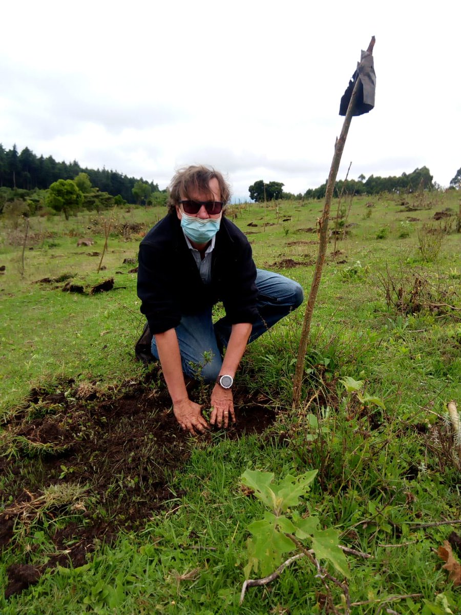 Nature_Kenya's tweet photo. We are taking advantage of the long rains to restore the  #MtKenyaForest. 
We are not doing it alone!
Together with community members, @KeForestService,Mt. Kenya Conservation Forum&amp; @RhinoArk, we've planted 25,000 #tree seedlings in #KabaruForest, Nyeri County

#OneWithNature https://t.co/0E8ozA7QAM