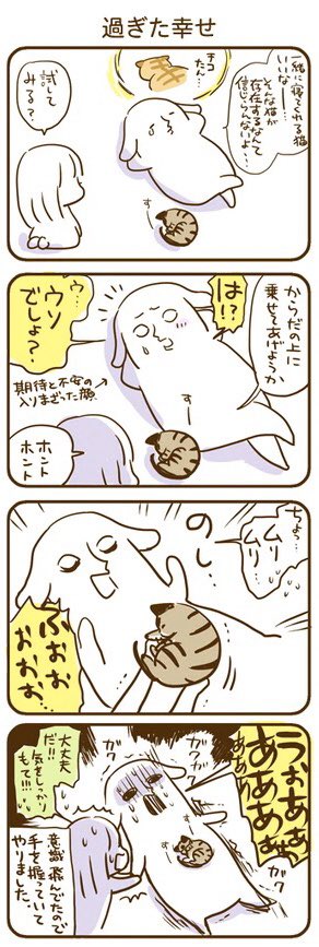 とろとろな猫を1投稿すると、10円が保護猫活動に寄付されるそうです?花王さん@kao_attackjp ありがとう

#とろねこチャレンジ 