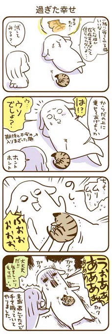 とろとろな猫を1投稿すると、10円が保護猫活動に寄付されるそうです?花王さん@kao_attackjp ありがとう

#とろねこチャレンジ 