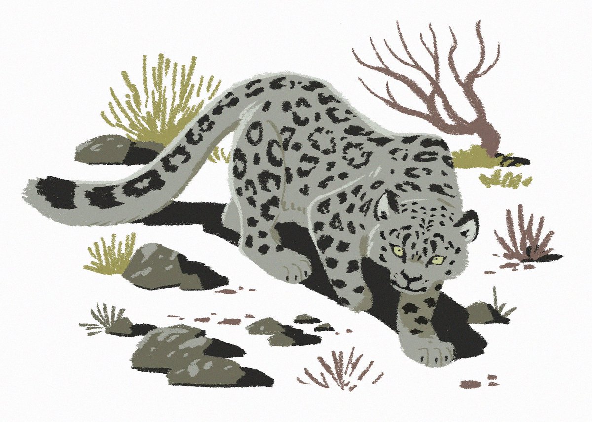 Twoucan Snowleopard の注目ツイート イラスト マンガ コスプレ モデル