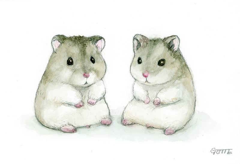 「昔一緒に暮らしていた
ジャンガリアンハムスターの もも子 と もも をモデルに描」|GOTTE🐹HamsterPainterのイラスト