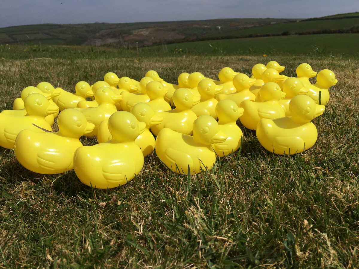 We have raised £1200 so far for the NHS, so some new ducks have just hatched and are in training for the big race <a href="/Mill_House__Inn/">The Mill House Inn</a> tiny.cc/t5c0mz