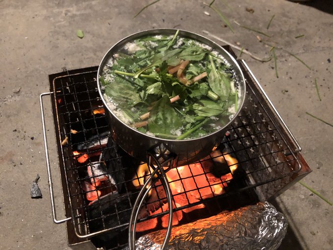 仕事上がりに道端で採った野草スープ(ドブ) 