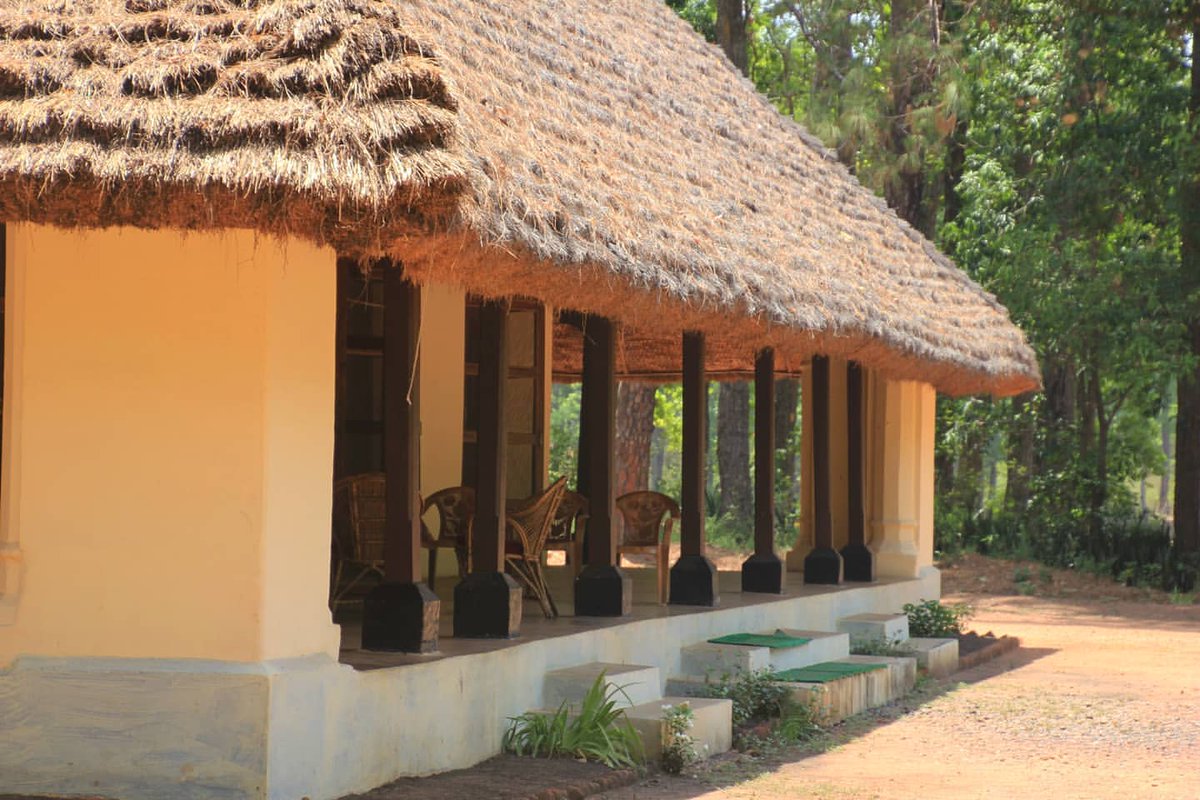 The entire thatch is replaced every 3 years. No other forest bungalow in India, to my knowledge, has been able to retain this design over the years (I do know of a few other such tall thatched forest bungalows that once existed in India before being tiled up with a 'pakka' roof).