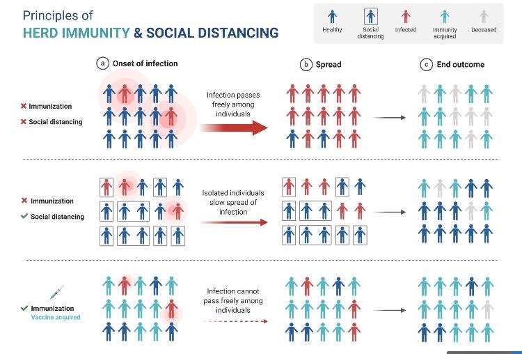 Herd immunity vs social distancing. This infographic May help us understand better. Focus on the end outcome and multiply those numbers by thousands for impact. ⁦<a href="/JMakamba/">January Makamba</a>⁩  ⁦<a href="/MariaSTsehai/">Maria Sarungi Tsehai</a>⁩