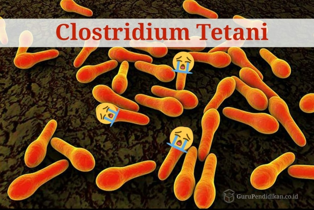 nemoj_mene's tweet image. ;(((