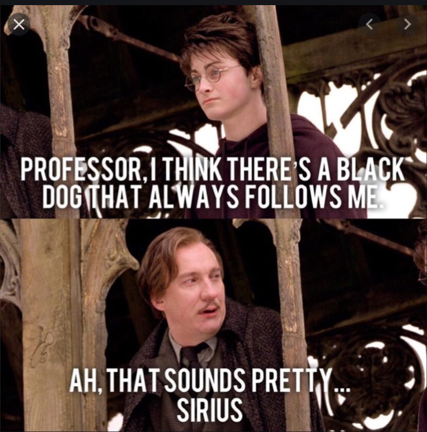 harry potter memes (@fun_harrypotter) / X