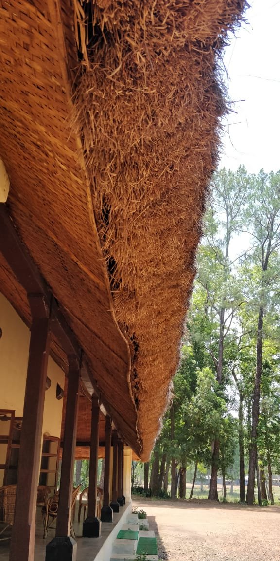 The thick grass matting, and the even thicker chuna-surkhi walls, keep it incredibly cool inside the bungalow during summers even as the hot sun bakes everything outside. On the other hand, the bungalow is warm and cozy when Kanha's freezing winters come knocking.