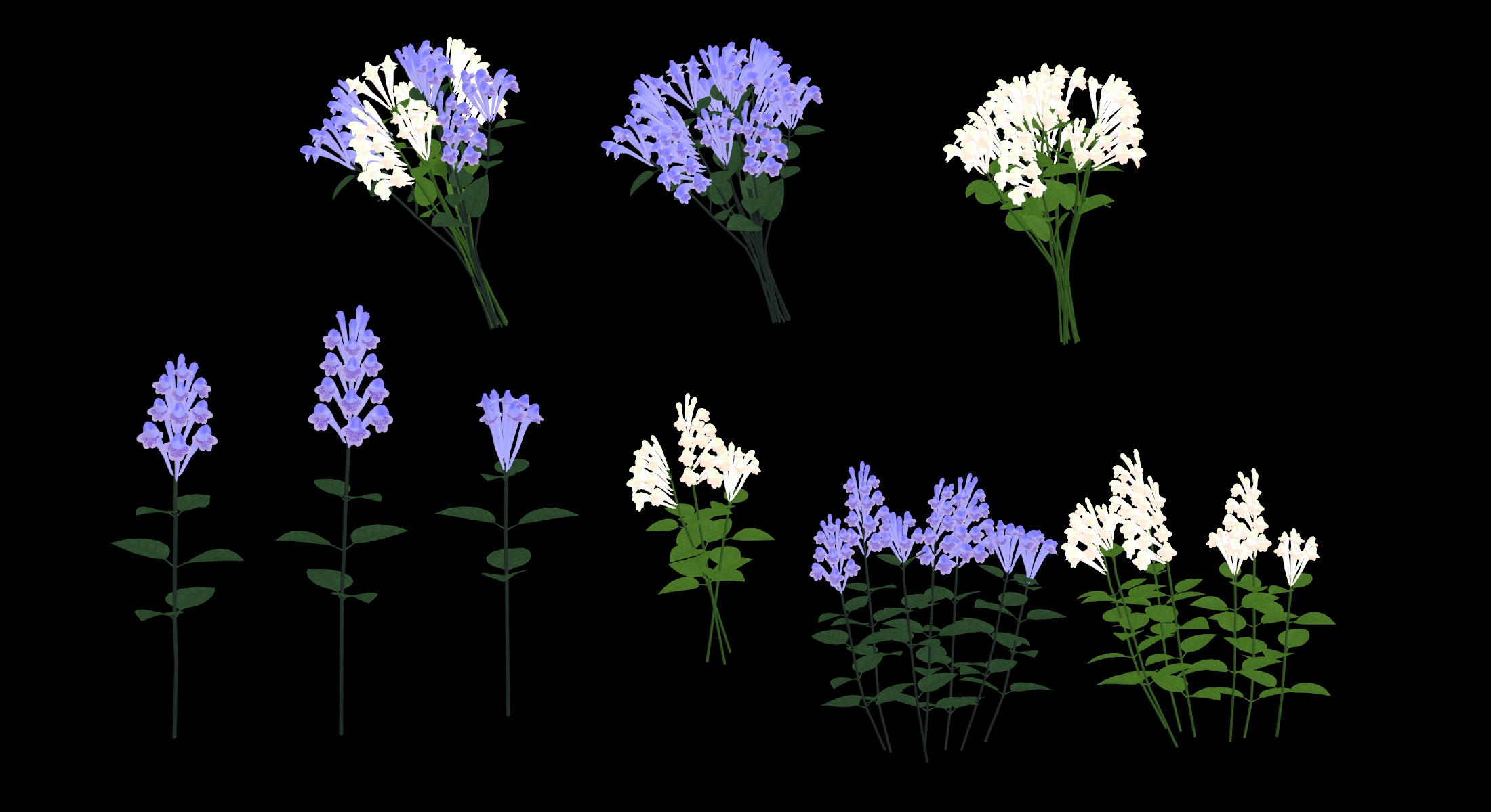 いつものほん タツナミソウのテスト 花言葉が印象的で わたしの命を捧げます 花 の向きがみんな同じ方向を向いて咲いているからとか 薬草として使われるからとかで この花言葉がついたそうです T Co 17dqfxtscb Twitter