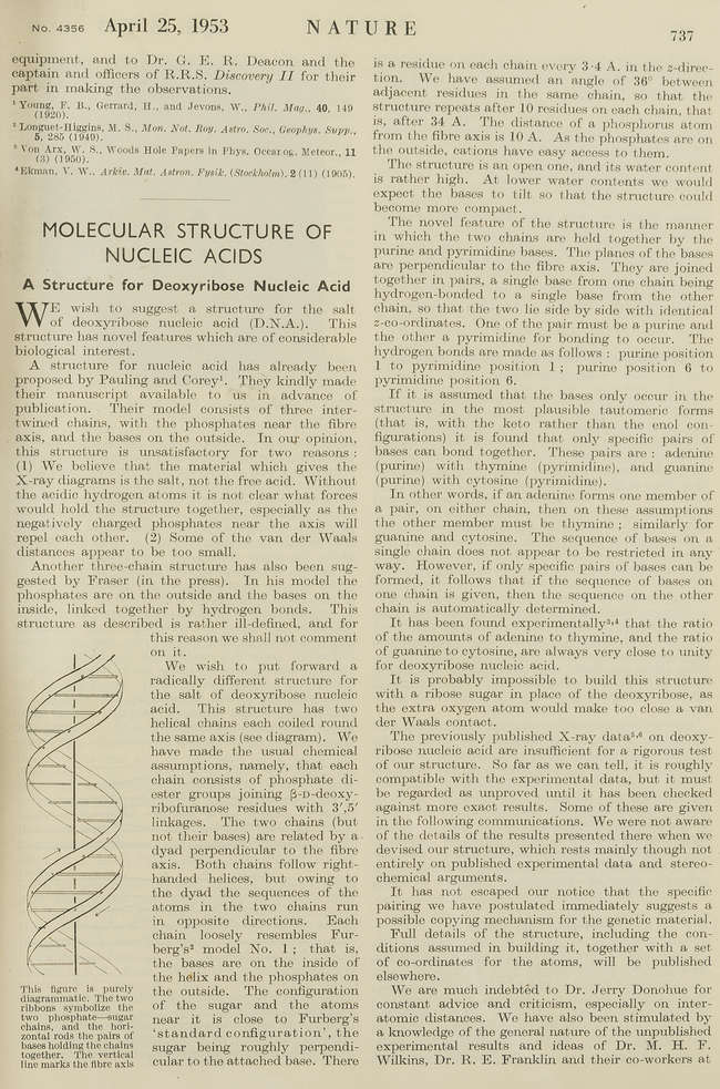 cgtnature's tweet image. It’s #DNADay2020 ! 🧬
Today, in 1953, James Watson, Francis Crick, Maurice Wilkins, Rosalind Franklin and colleagues published in the journal @nature the structure of DNA. 50 years later it was declared that the Human Genome Project was close to completion.