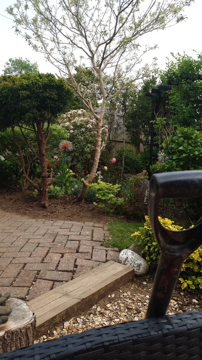 failedheart's tweet image. Lots of gardening with Free plants from my wifes work... #WildSeeds and #GrassPatches to sort pm