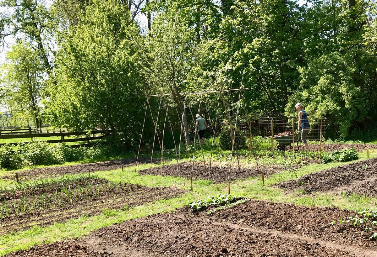 Wester_Amstel's tweet photo. Our kitchen garden is off to an excellent start! What are we growing... Stay tuned to find out! 😁

#WesterAmstel #Amsterdam #Amstelland #Netherlands #buitenplaats https://t.co/kdGp8Ua7ye