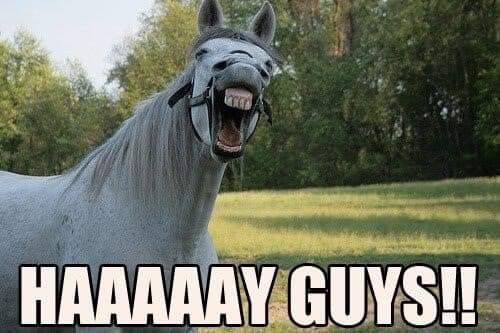 VictoryRiding's tweet photo. HayDay today be here 8-8:30am https://t.co/L9TDVO3eDE