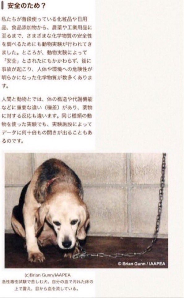 雅 End殺処分japan 動物実験は 人間と動物に重大な種差 体の構造 代謝機能などの違い があり意味がないばかりか逆に医学の進歩を遅らせている と主張する医学者達も増えているそうです 私達の声 が社会を変えていきます 動物実験の廃止を訴えて