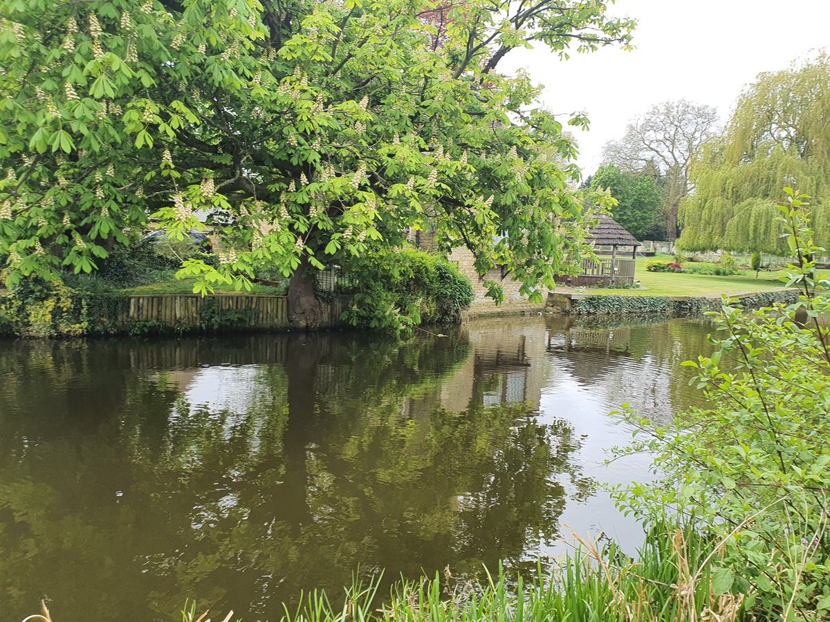 Shaun Robinson tweet media