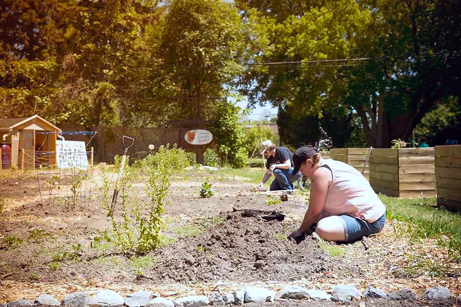 #BREAKING - Ontario to allow community gardens to operate during #COVID19 pandemic. Gardens recognizes as essential source of fresh food, especially for those facing food insecurity - kawarthanow.com/2020/04/25/ont…