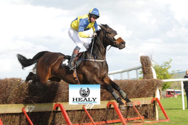 patcashhealy's tweet photo. #FromTheArchives 10 years ago today 25-4-2010
Oldcastle PTP
 "Woodwork" and P B Roche win Div 2 7yo Maiden for owner Peter Newell and trainer Denise Foster @JessieLFoster 
(c)https://t.co/voWGTccgic https://t.co/qfrQJIVDzd