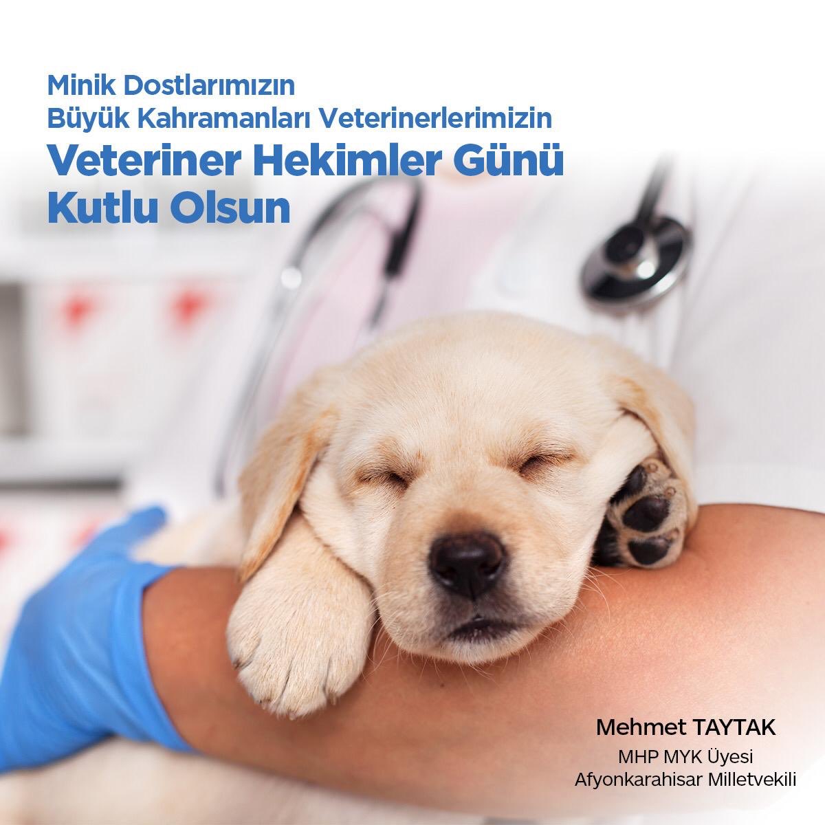 MehmetTaytakMHP's tweet photo. Hayvan sağlığında ve hayvan hastalıkları ile mücadelede büyük emek sarf eden, sağlıklı gıdalarla beslenmemiz için bütün güçleriyle çalışan değerli veteriner hekimlerimizin Dünya Veteriner Hekimler Günü’nü kutluyorum. https://t.co/FFQUyUPcWv