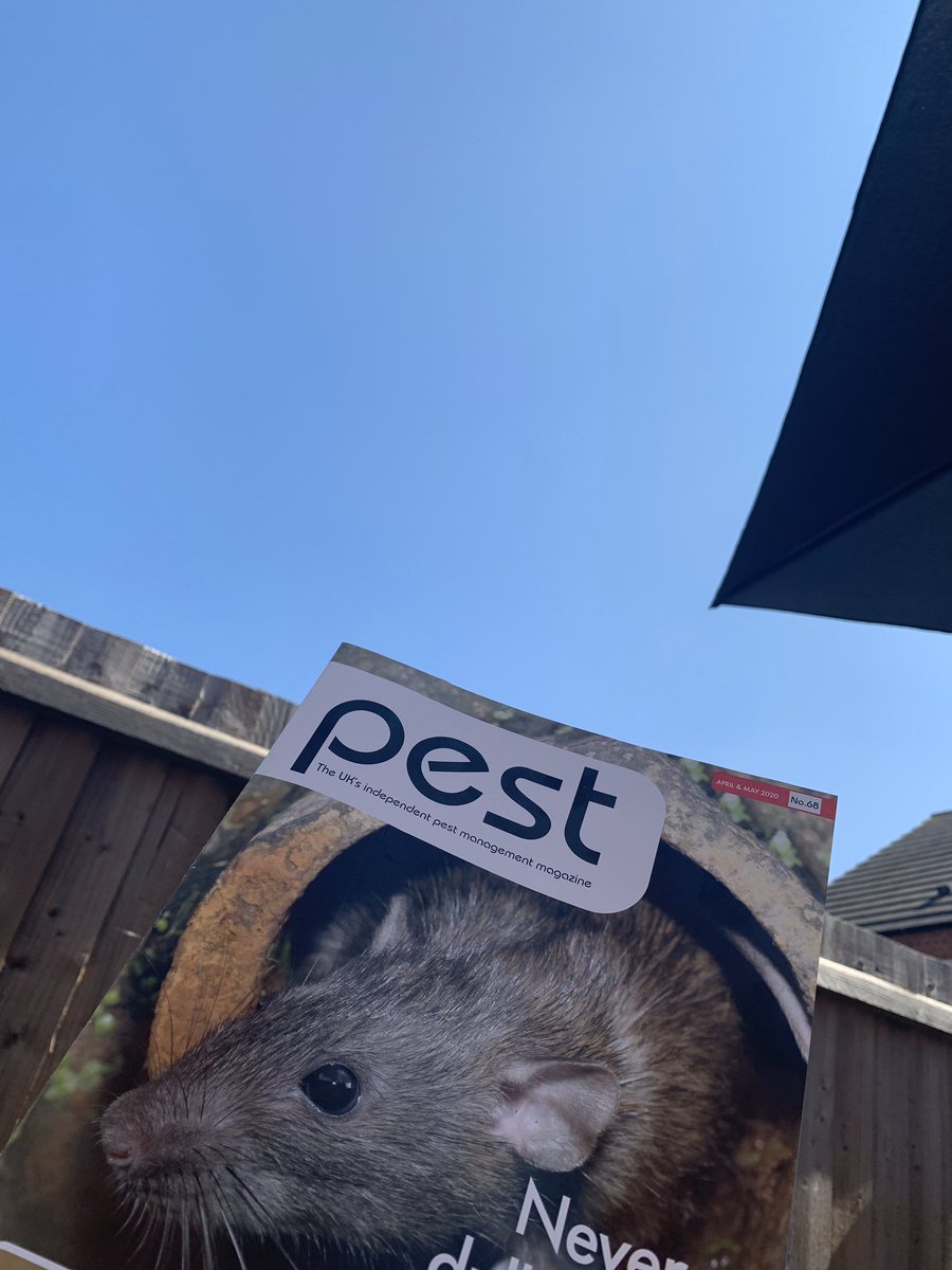 Sitting in the sunshine on a Saturday afternoon, catching up on what’s happening in the pest world. <a href="/BASIS_PROMPT/">BASIS PROMPT</a> <a href="/TheNPTA/">NPTA UK</a>
