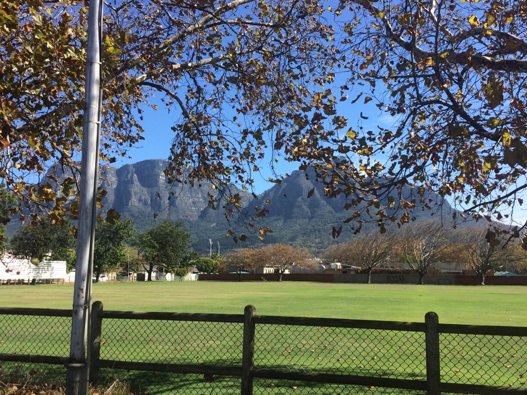 greenforcerob's tweet image. 