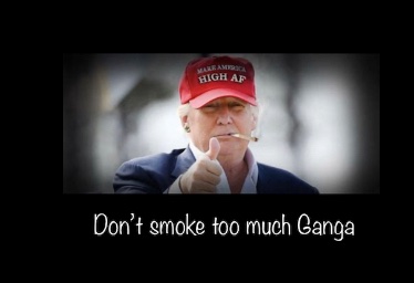 DPOTUS1's tweet photo. I personally think that on 4/20/2020 #DPOTUS got hold of some powerful ganja &amp; smoked too much, #InHannity
Since then, he has said some of the most outlandish things ever said by a president.
Again I think #DonaldTrumpDumbAss has the same affliction as Kim Jong Un #BrainDeadTrump https://t.co/fS7aI0qjrt