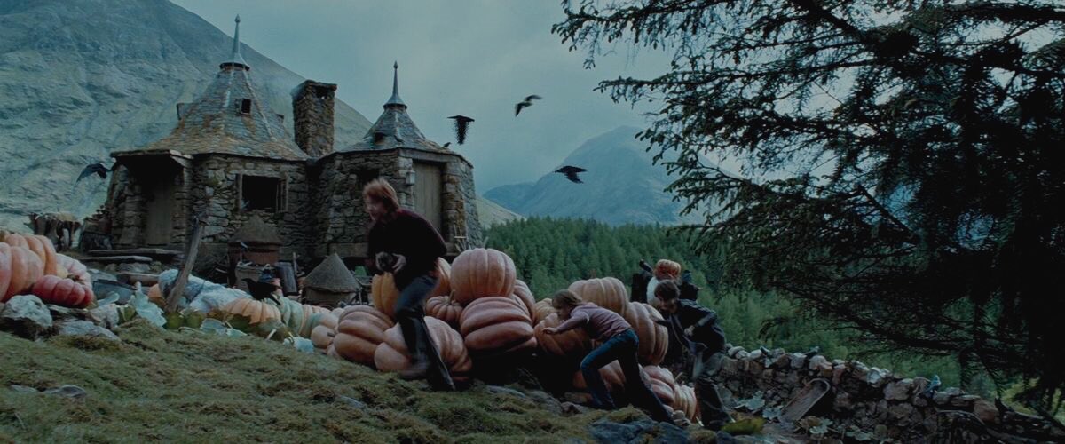 louandharrxy's tweet photo. el prisionero de azkaban y el otoño https://t.co/UfWycQ16mp