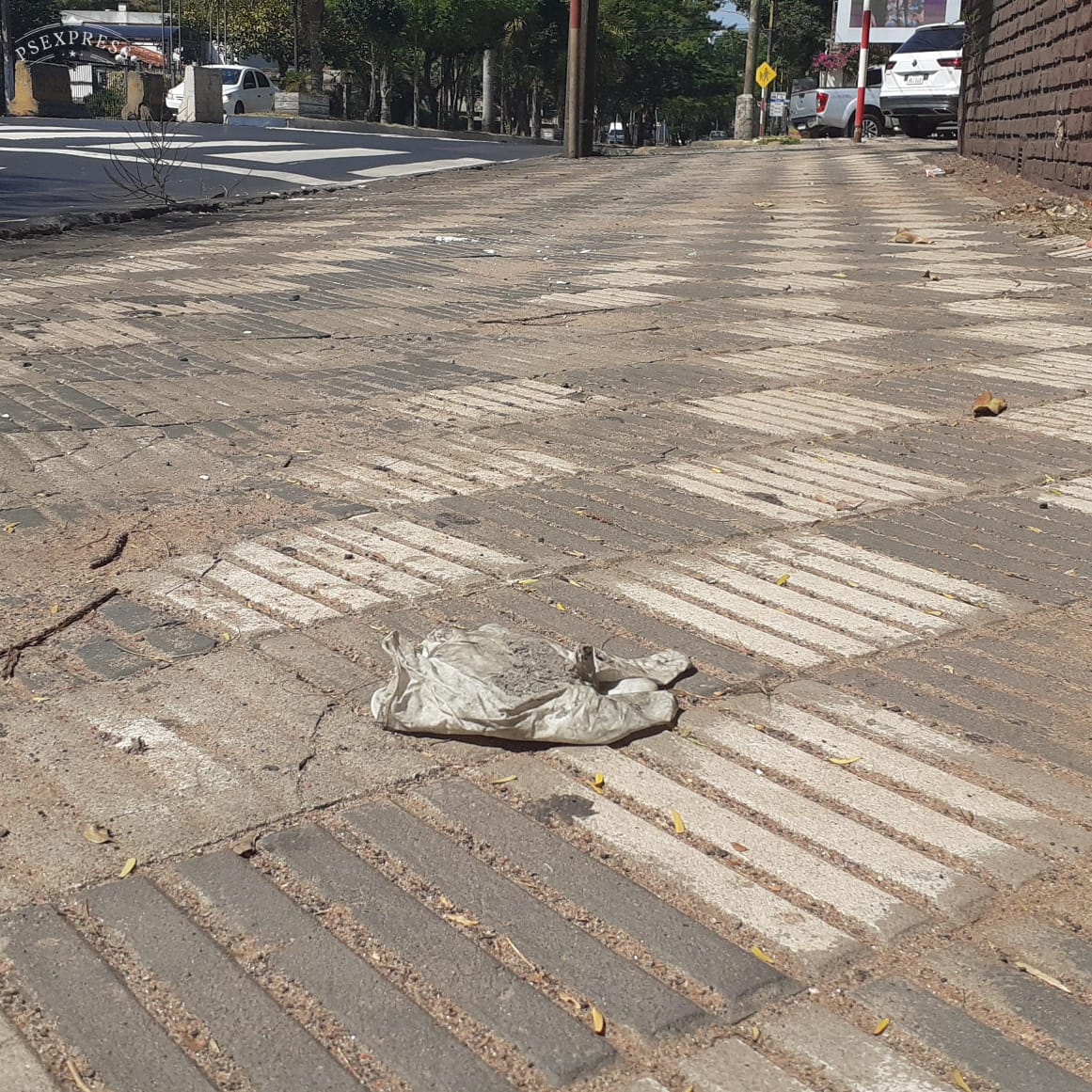 cruzroja_asu's tweet photo. Urgente llamado a la ciudadanía en general ⚠️

¡No más guantes ni mascarillas en el suelo.! 🚯

Los mismo deben ser colocados previamente en bolsas de plásticos para luego arrojarlos al basurero🗑️

#Lávatelasmanos🤲🚿
#Quédateencasa
#ManténUnaSanaDistancia🙋  👦

#TeQueremosSano https://t.co/dL9gtJTZB0