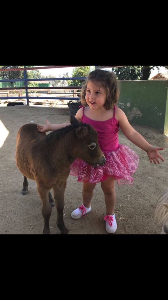 ❤️❤️❤️❤️