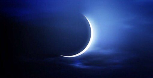 ﮼ابوعبدالوهاب tweet media