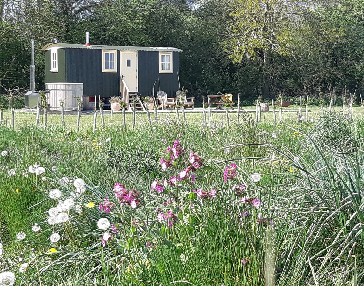 FernCopse's tweet photo. The shepherd's hut looks so beautiful in the springtime! https://t.co/bxlWDFQhmv