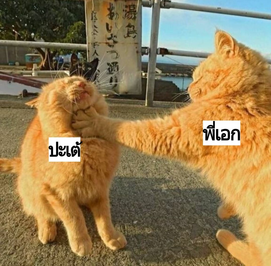 แบ้ก b.'ㅅ'🍑 tweet media