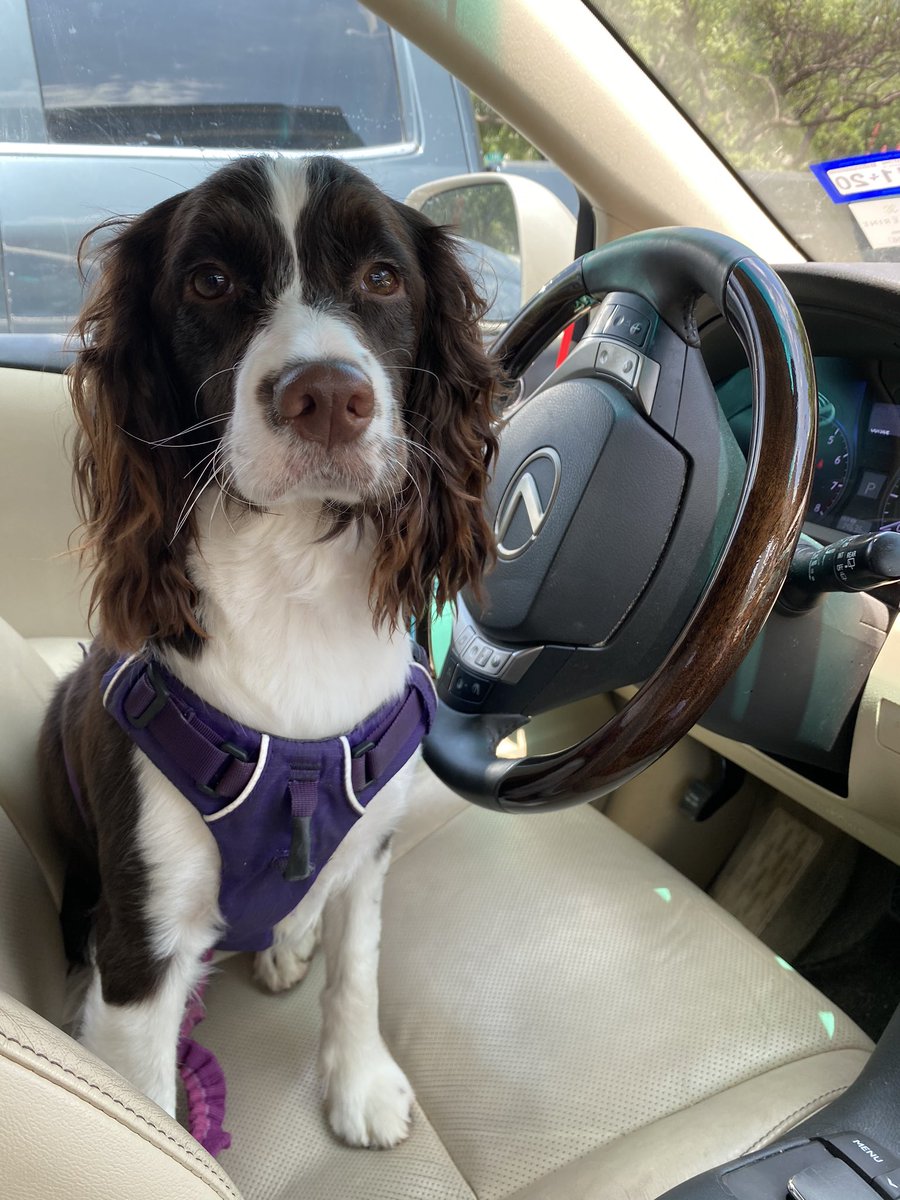 Uber must literally let anyone drive for them...
#Uber
#⭐️⭐️⭐️⭐️⭐️