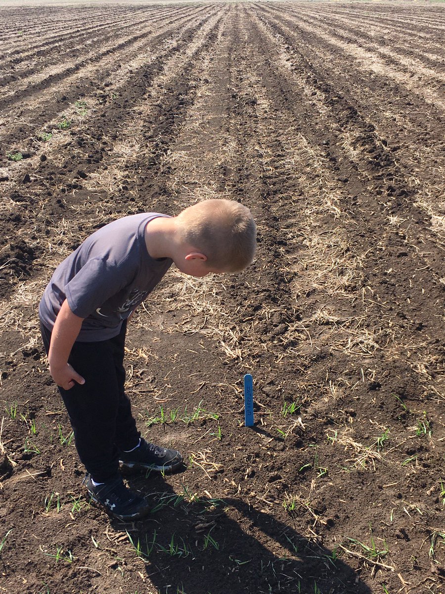 AaronPetersen20's tweet photo. My helper with me this morning #IntegraCorn https://t.co/PxBP1Au3n5