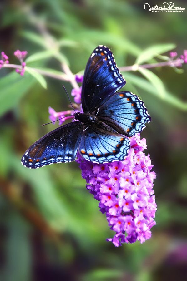 ꧁༺Carla༻꧂#EliFriends━★✼☆ (@s2_carlas2) on Twitter photo <a href="/SergioA60798547/">Sergio</a> <a href="/Margari74522367/">Margot.Adm de #TeamDollNature</a> @Moni_DollNature <a href="/trinivianaok/">TRINI 》》》☆Peace ☮ Love☆Founder #TeamDollNature</a> <a href="/DCordell2016/">🐺Wolf𝕩#MuzikkZøne🎶 #𝘛eam𝘋øll𝘕ATURE CoFounder</a> @crescentegus @VicJoker84 @oce2005 <a href="/__TimeTotime/">TRINI 130K》Peace ☮ Love Founder of #Teamdollnature</a> <a href="/LaidyNature/">LaidyNature</a> <a href="/byhaluk3/">Alone</a> <a href="/Lola_clau02/">🌹Lola🌹</a> <a href="/Lily_Tmlily/">°˚♡❀ Lily ❀♡˚°</a> @SabathVictor <a href="/S_Ph_A_/">❀ 。・ Sophia 。・ ❀</a> <a href="/_Hermosa_V/">~🌸 Vivian 🌸~</a> <a href="/AlexAngelMont97/">🌅Alex🏔Montelongo🌲#TSha🐦🌸</a> 💚#TeamDollNature
<a href="/trinivianaok/">TRINI 》》》☆Peace ☮ Love☆Founder #TeamDollNature</a>
@dcordell2016
<a href="/Margari74522367/">Margot.Adm de #TeamDollNature</a>
@crescentegus
@VicJoker84
@oce2005
💙#TeamDoll
<a href="/__TimeTotime/">TRINI 130K》Peace ☮ Love Founder of #Teamdollnature</a>
<a href="/LaidyNature/">LaidyNature</a>
<a href="/byhaluk3/">Alone</a>
<a href="/Lola_clau02/">🌹Lola🌹</a>
🧡#Tmlily
<a href="/Lily_Tmlily/">°˚♡❀ Lily ❀♡˚°</a>
@SabathVictor
<a href="/S2_CarlaS2/">꧁༺Carla༻꧂#EliFriends━★✼☆</a>
<a href="/S_Ph_A_/">❀ 。・ Sophia 。・ ❀</a>
<a href="/SergioA60798547/">Sergio</a>
<a href="/_Hermosa_V/">~🌸 Vivian 🌸~</a>
<a href="/AlexAngelMont97/">🌅Alex🏔Montelongo🌲#TSha🐦🌸</a> <a href="/SergioA60798547/">Sergio</a> <a href="/Margari74522367/">Margot.Adm de #TeamDollNature</a> @Moni_DollNature <a href="/trinivianaok/">TRINI 》》》☆Peace ☮ Love☆Founder #TeamDollNature</a> <a href="/DCordell2016/">🐺Wolf𝕩#MuzikkZøne🎶 #𝘛eam𝘋øll𝘕ATURE CoFounder</a> @crescentegus @VicJoker84 @oce2005 <a href="/__TimeTotime/">TRINI 130K》Peace ☮ Love Founder of #Teamdollnature</a> <a href="/LaidyNature/">LaidyNature</a> <a href="/byhaluk3/">Alone</a> <a href="/Lola_clau02/">🌹Lola🌹</a> <a href="/Lily_Tmlily/">°˚♡❀ Lily ❀♡˚°</a> @SabathVictor <a href="/S_Ph_A_/">❀ 。・ Sophia 。・ ❀</a> <a href="/_Hermosa_V/">~🌸 Vivian 🌸~</a> <a href="/AlexAngelMont97/">🌅Alex🏔Montelongo🌲#TSha🐦🌸</a> 💚#TeamDollNature
<a href="/trinivianaok/">TRINI 》》》☆Peace ☮ Love☆Founder #TeamDollNature</a>
@dcordell2016
<a href="/Margari74522367/">Margot.Adm de #TeamDollNature</a>
@crescentegus
@VicJoker84
@oce2005
💙#TeamDoll
<a href="/__TimeTotime/">TRINI 130K》Peace ☮ Love Founder of #Teamdollnature</a>
<a href="/LaidyNature/">LaidyNature</a>
<a href="/byhaluk3/">Alone</a>
<a href="/Lola_clau02/">🌹Lola🌹</a>
🧡#Tmlily
<a href="/Lily_Tmlily/">°˚♡❀ Lily ❀♡˚°</a>
@SabathVictor
<a href="/S2_CarlaS2/">꧁༺Carla༻꧂#EliFriends━★✼☆</a>
<a href="/S_Ph_A_/">❀ 。・ Sophia 。・ ❀</a>
<a href="/SergioA60798547/">Sergio</a>
<a href="/_Hermosa_V/">~🌸 Vivian 🌸~</a>
<a href="/AlexAngelMont97/">🌅Alex🏔Montelongo🌲#TSha🐦🌸</a>